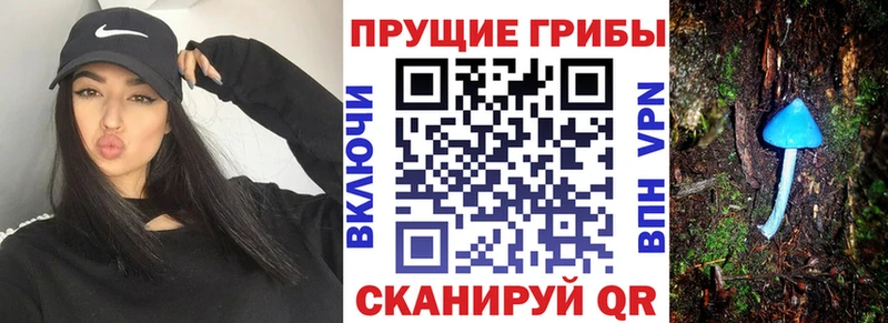 Псилоцибиновые грибы мухоморы Поронайск